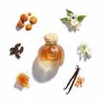 Vanilla Voyage Perfume Flat-Lay Style